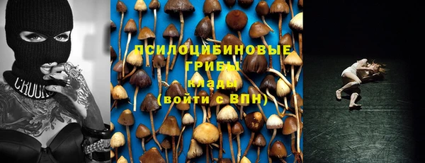 ПСИЛОЦИБИНОВЫЕ ГРИБЫ Арсеньев