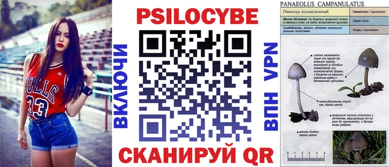 kraken как зайти  Нязепетровск  Псилоцибиновые грибы GOLDEN TEACHER 